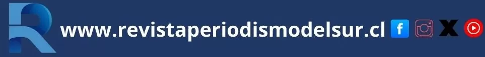 revista periodismo del sur