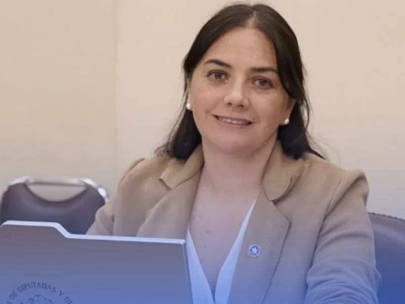 Diputada Claudia Reyes compromete gestiones por retraso en subsidio aéreo