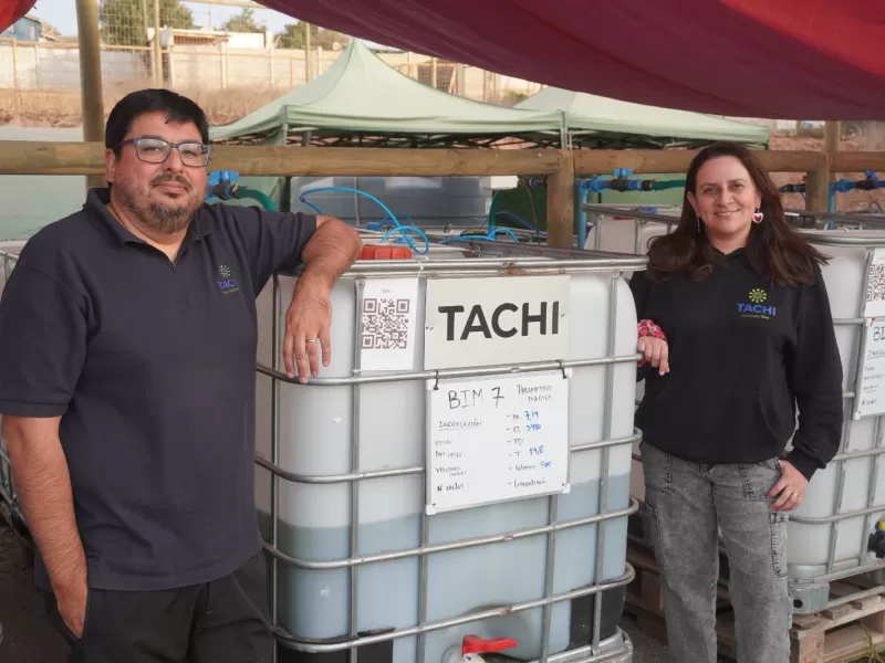 Microalgas chilenas impulsan una agricultura más eficiente frente a la crisis hídrica
