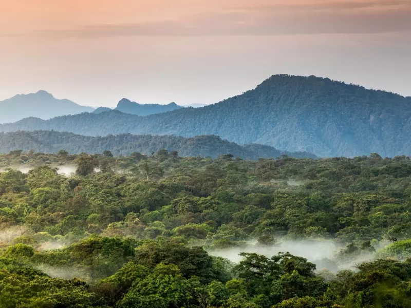 Panamá avanza en el control de sustancias tóxicas bajo acuerdos ambientales internacionales