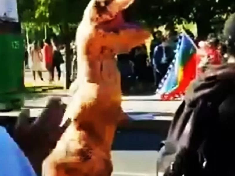 Video: Carabinero en moto atropelló al simbólico dinosaurio de las marchas en Viña del Mar