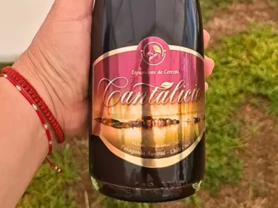 Cantalicio transforma cerezas de Chile Chico en un espumante con identidad territorial
